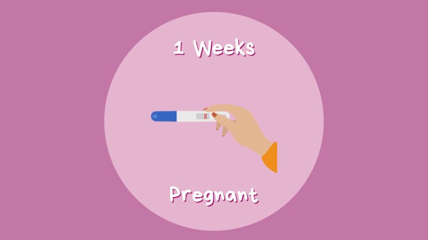 1 week pregnant