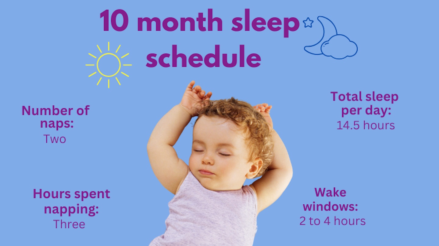 10 month sleep schedule