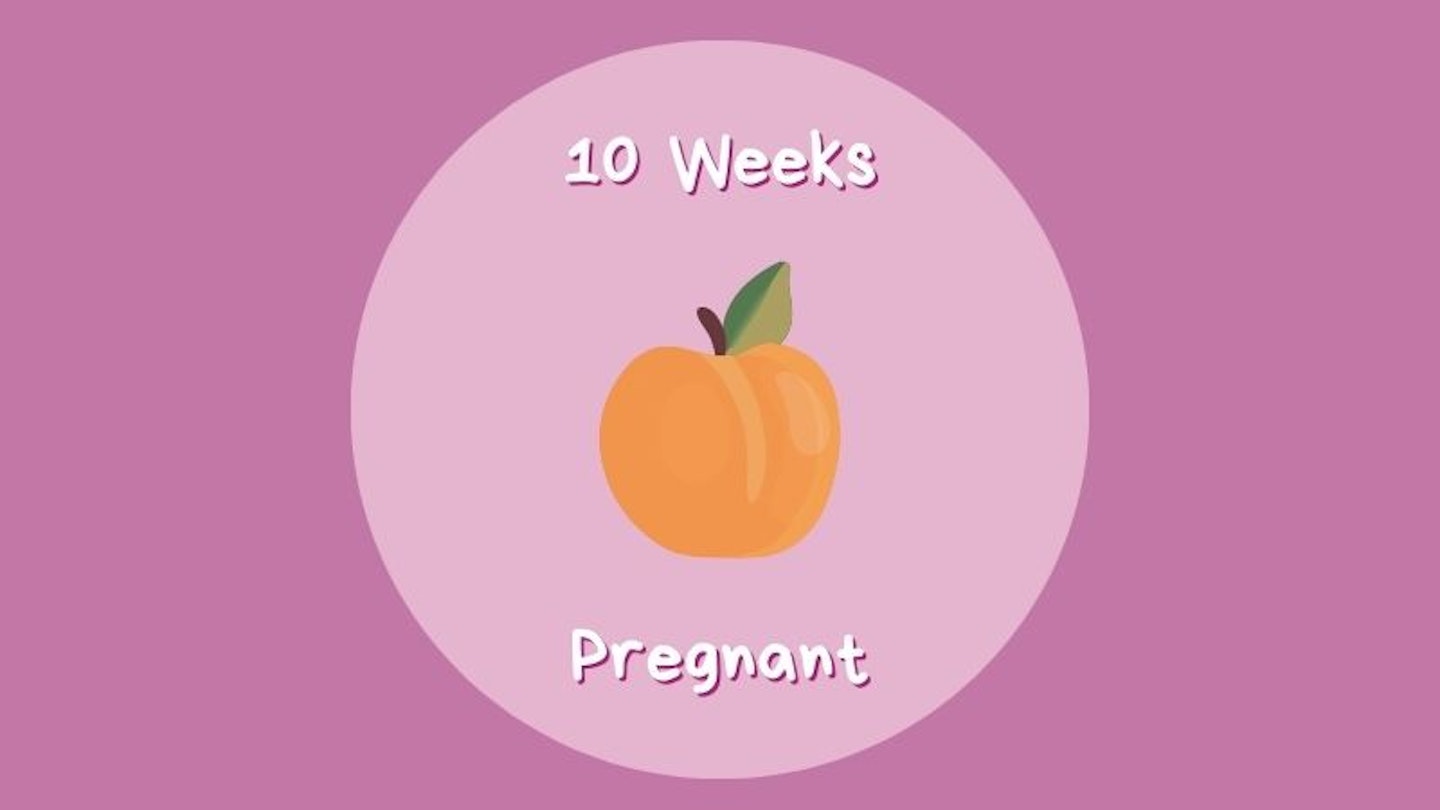 10 Week Pregnant