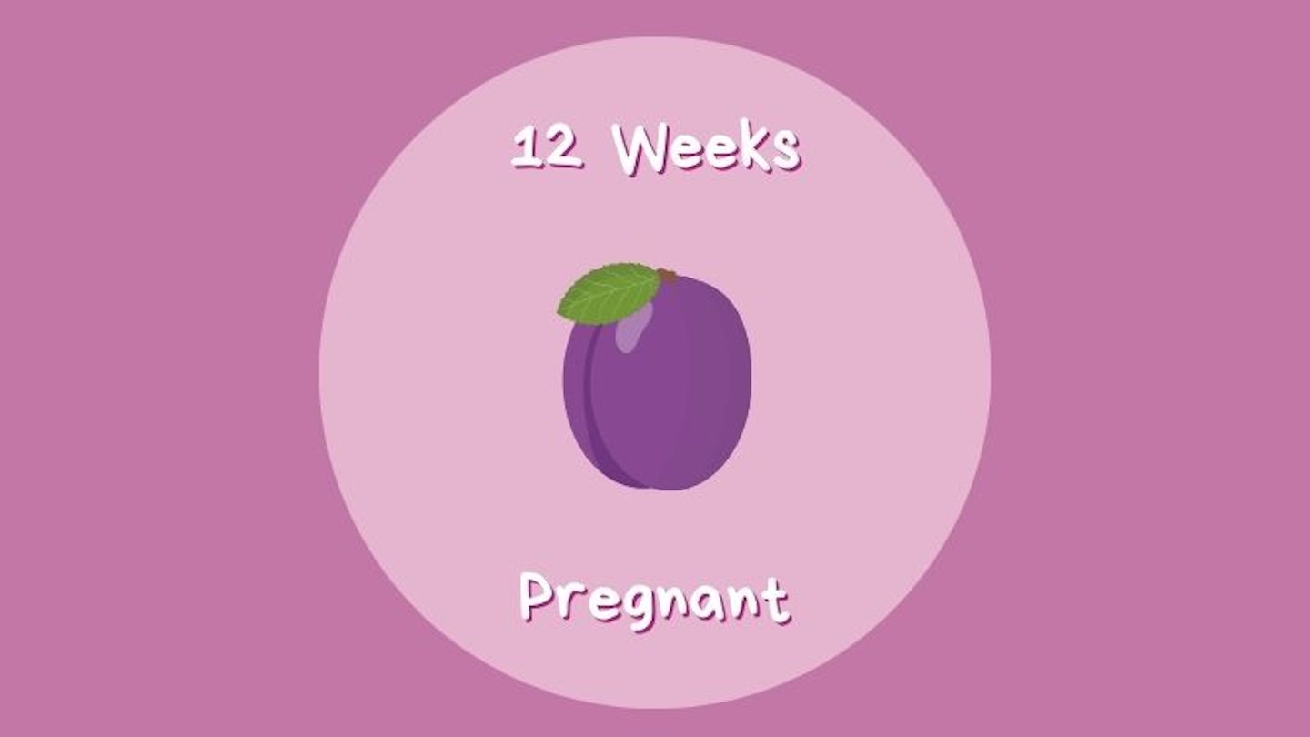 12 Week Pregnant
