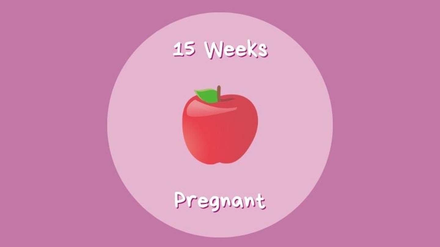 15 Week Pregnant