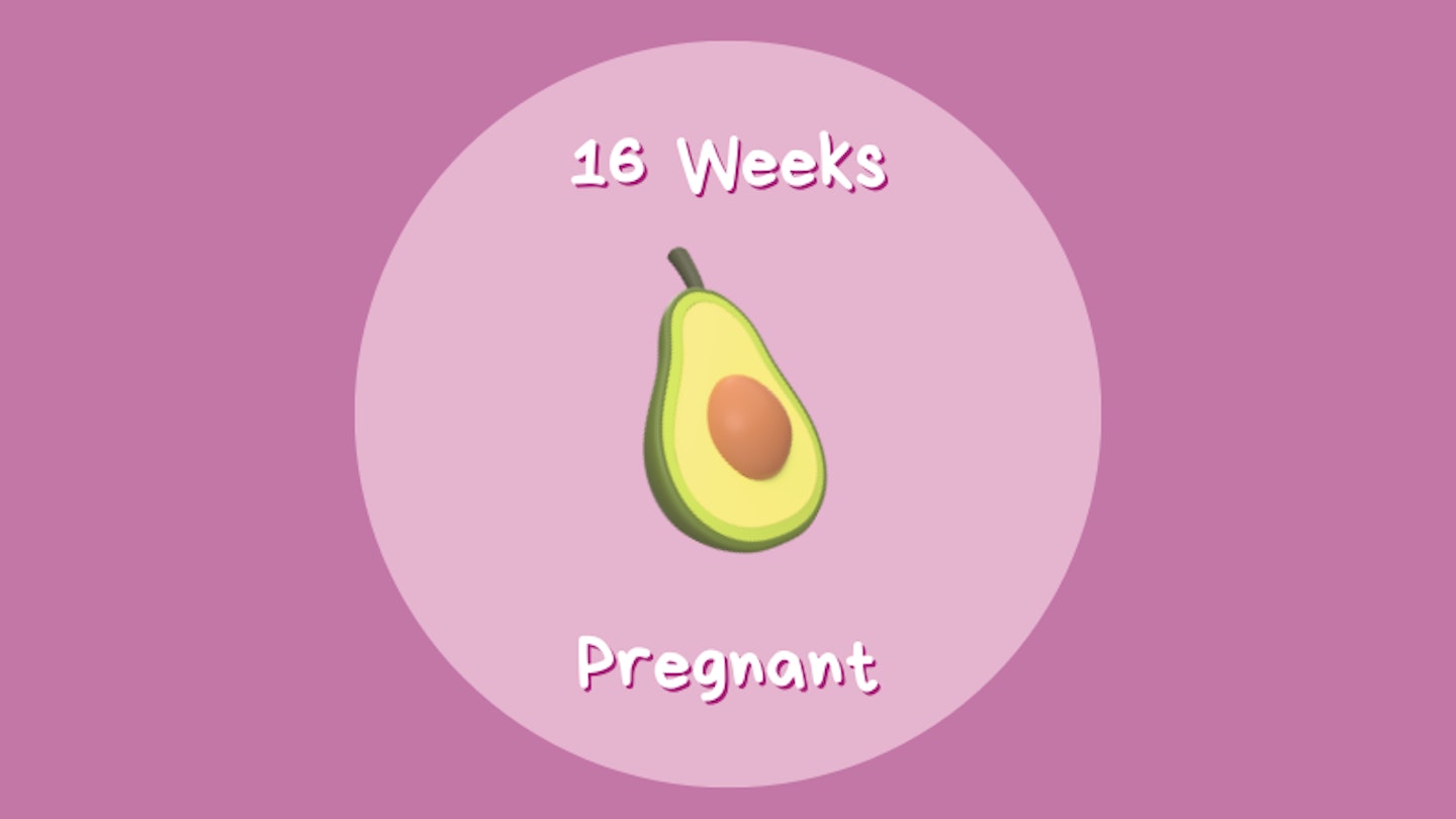 16 weeks pregnant