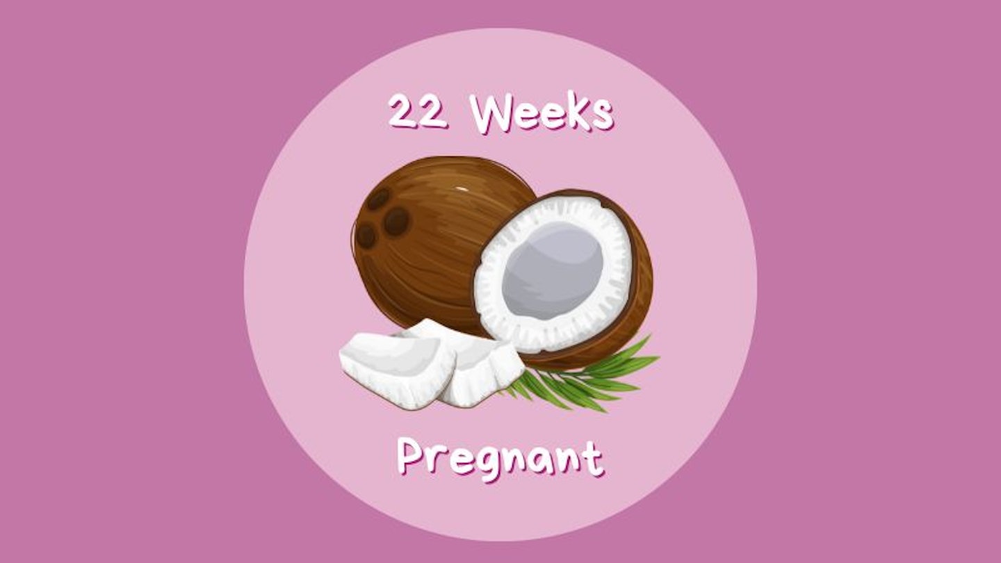 22 Weels pregnant
