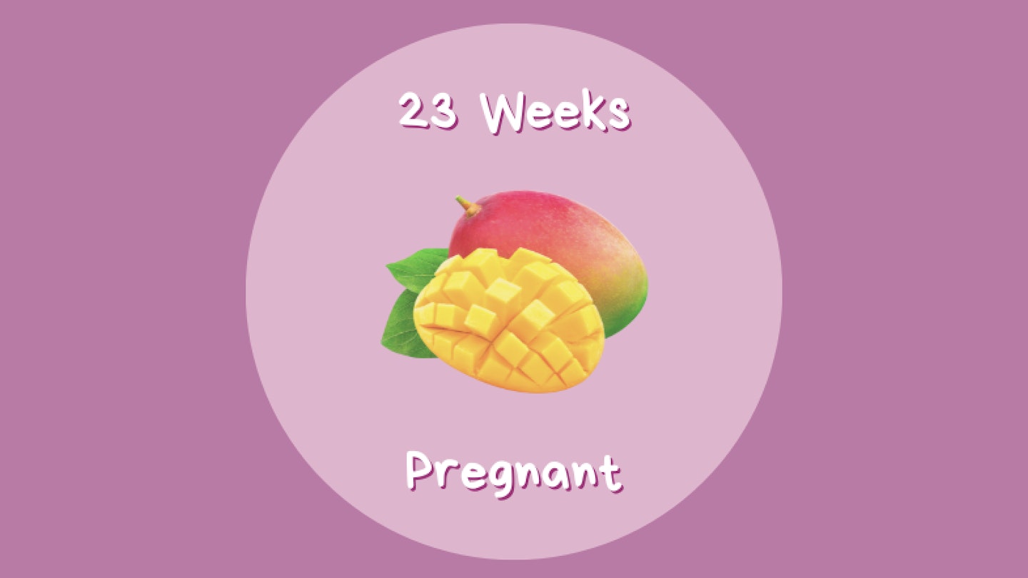 23 weeks pregnant