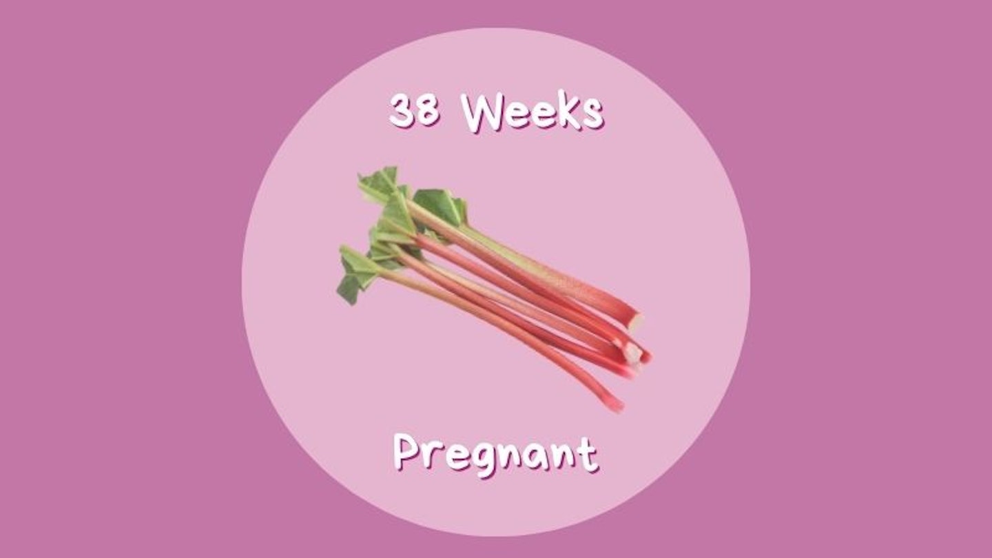 38 weeks pregnant