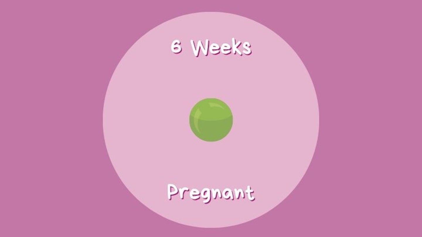 6 Weeks Pregnant