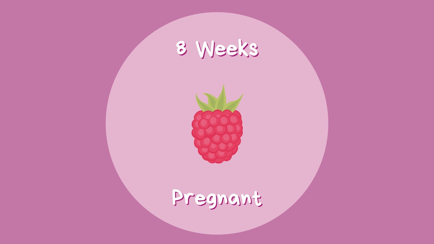 8 Week Pregnant