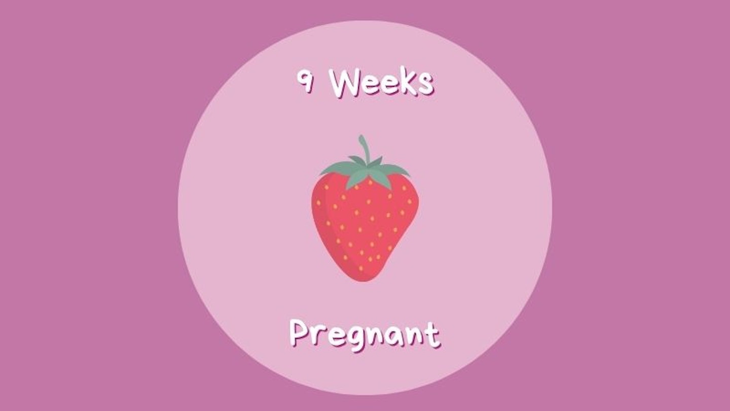 9 Week Pregnant