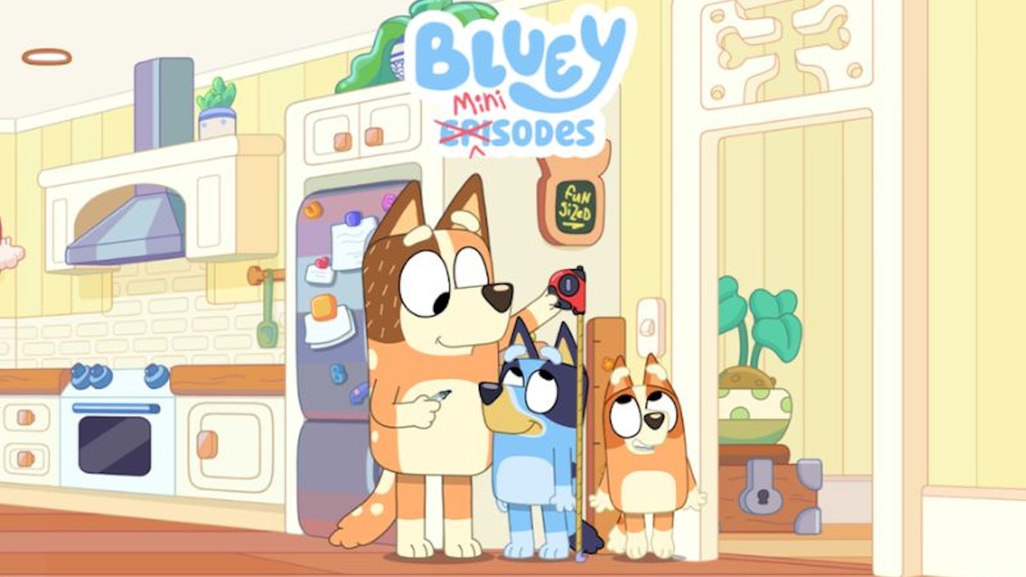 Bluey Bingo and Chilli Heeler in a Bluey Minisode announcement