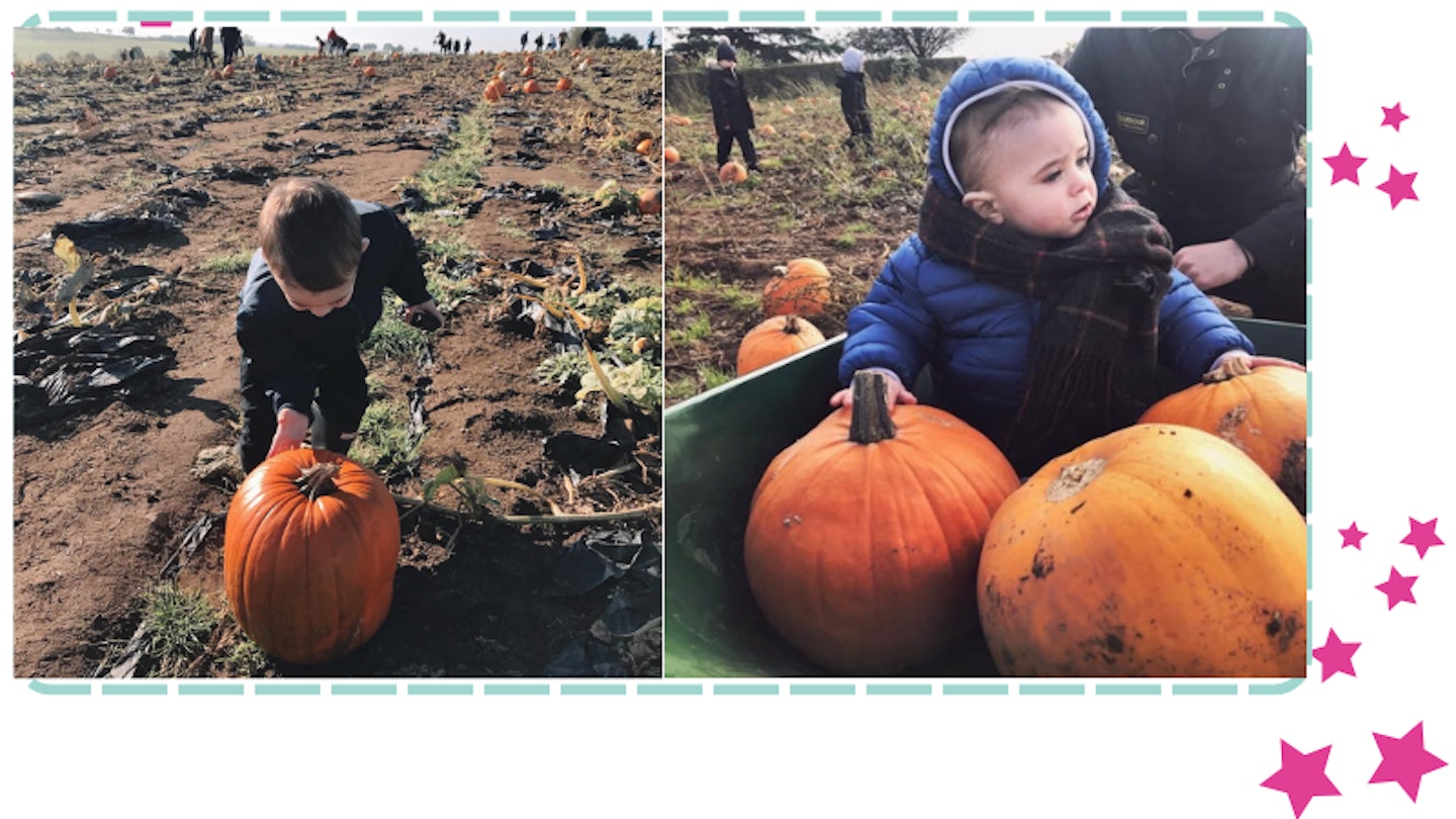 The best pumpkin patches in the UK