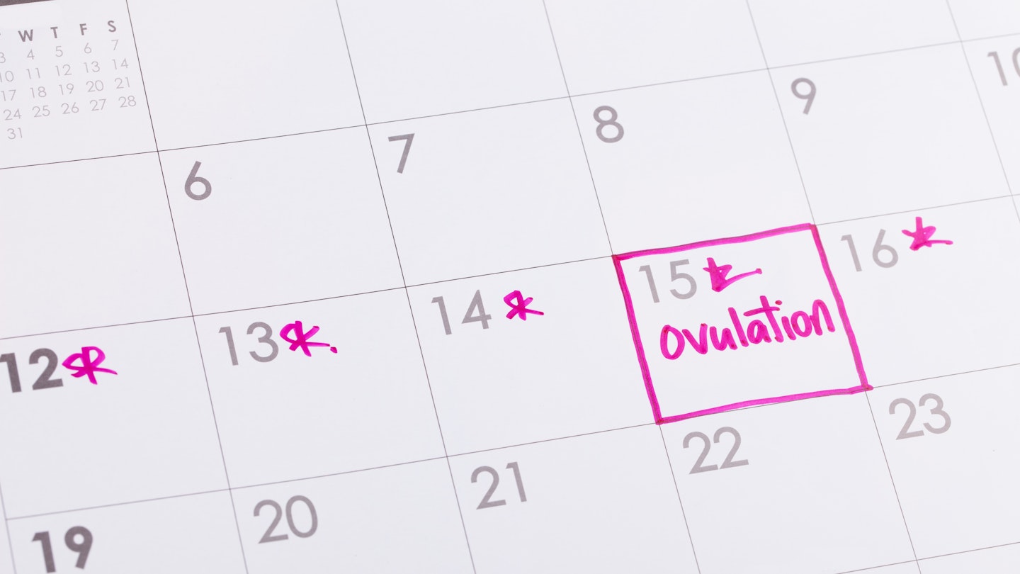 Best ovulation test kits