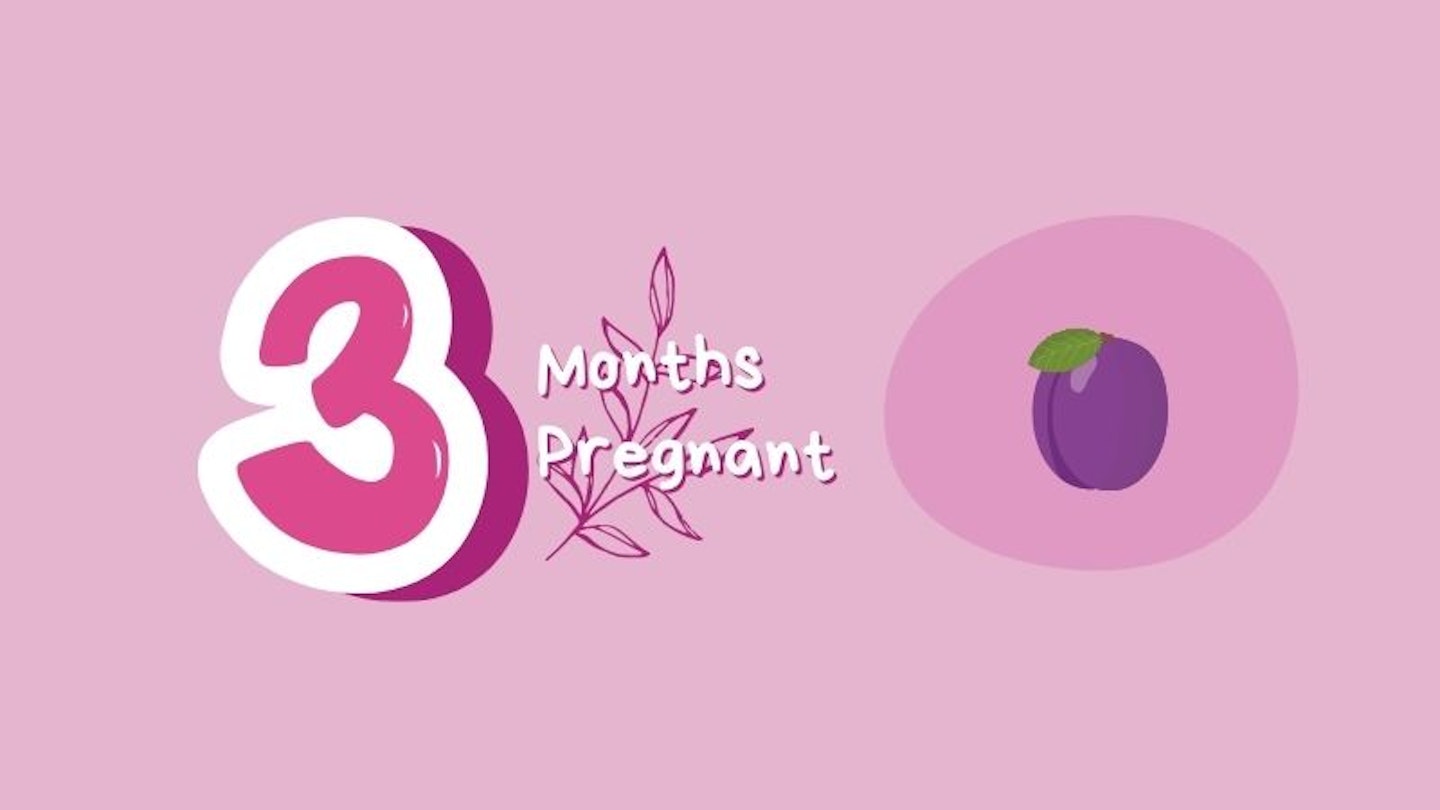 3 month pregnant with plum for scale