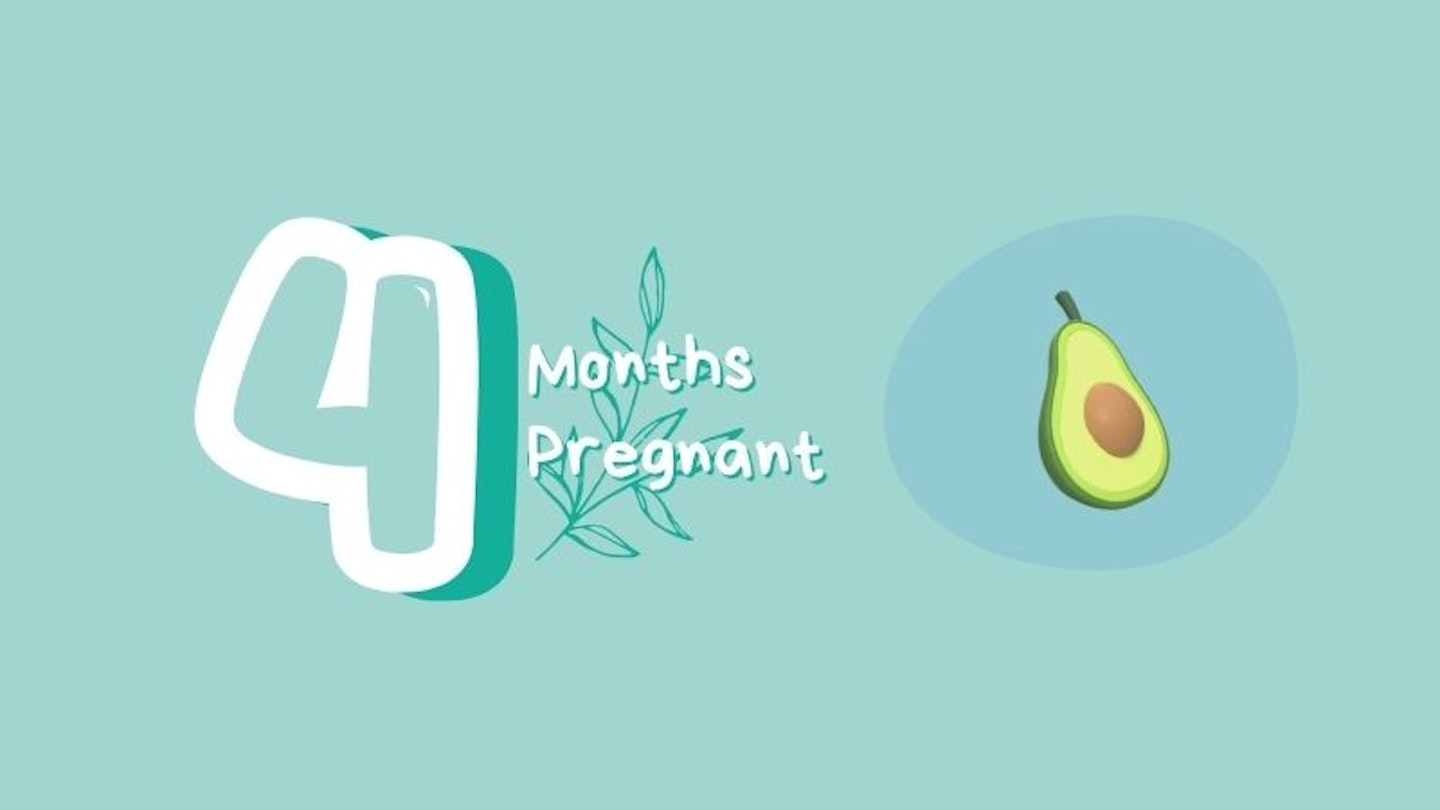 4 months pregnant with avocado for scale
