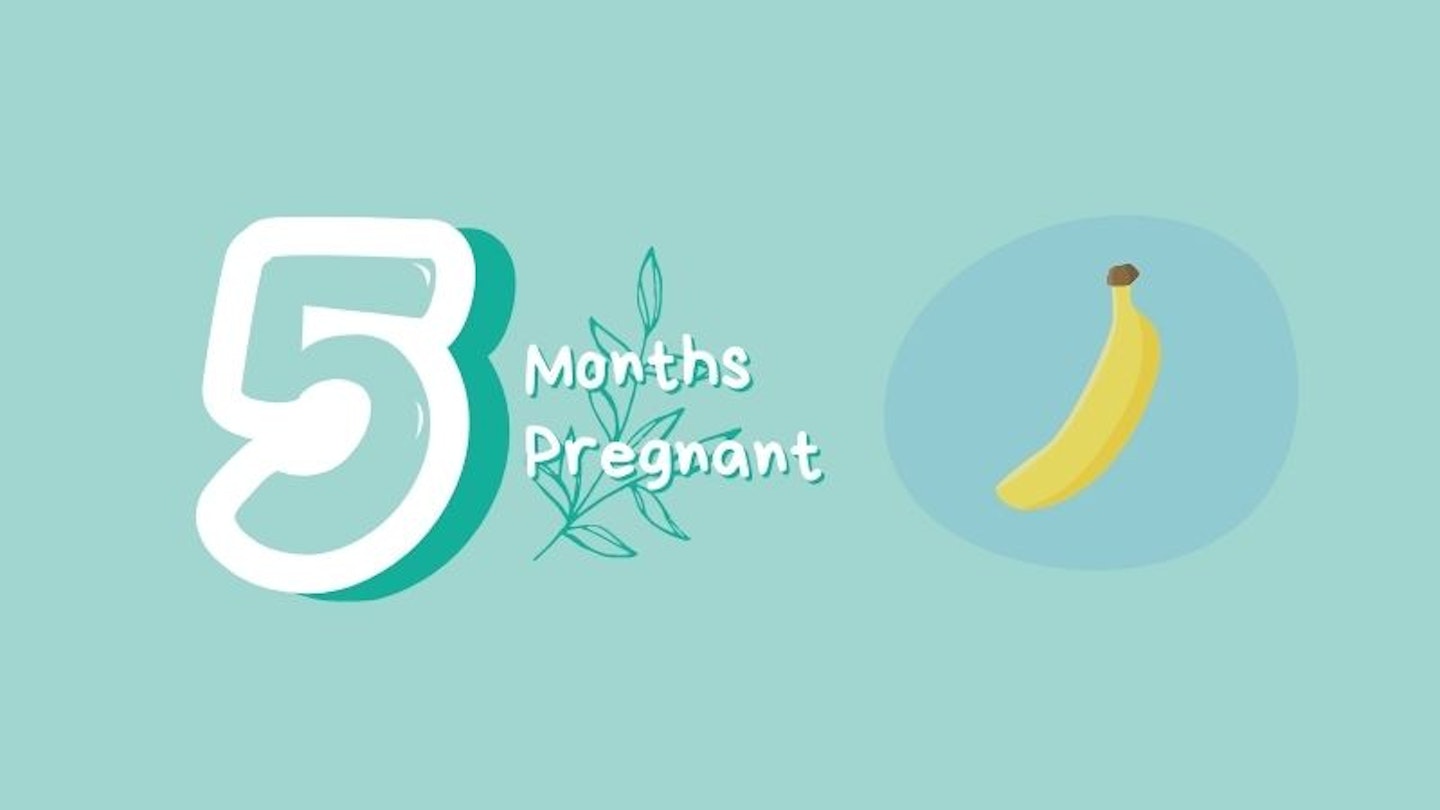 5 months pregnant with banana for scale