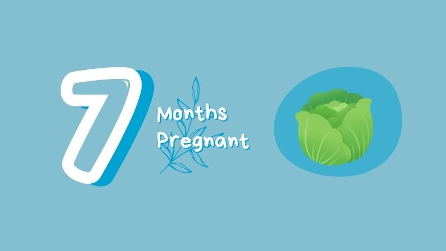 7 months pregnant with lettuce for scale