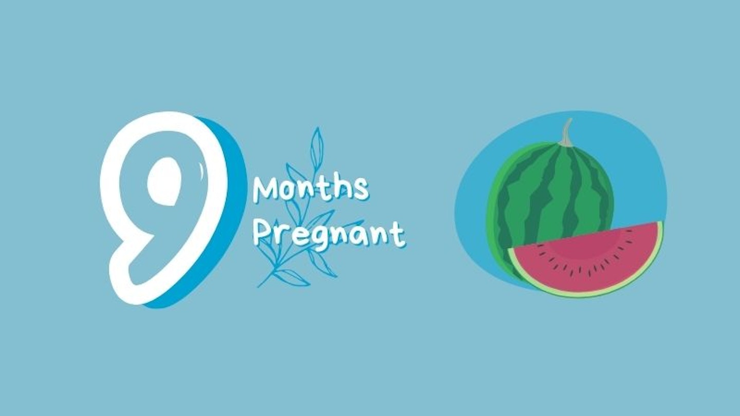 9 months pregnant with watermelon for scale