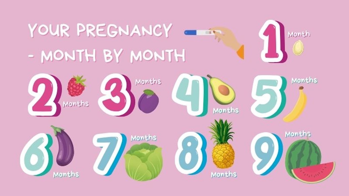 Month by Month pregnancy