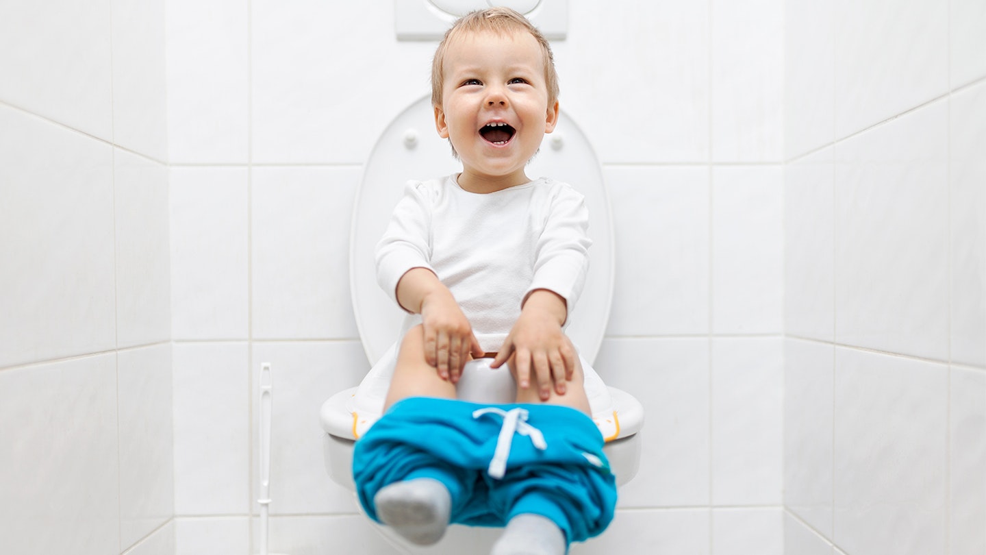potty seat