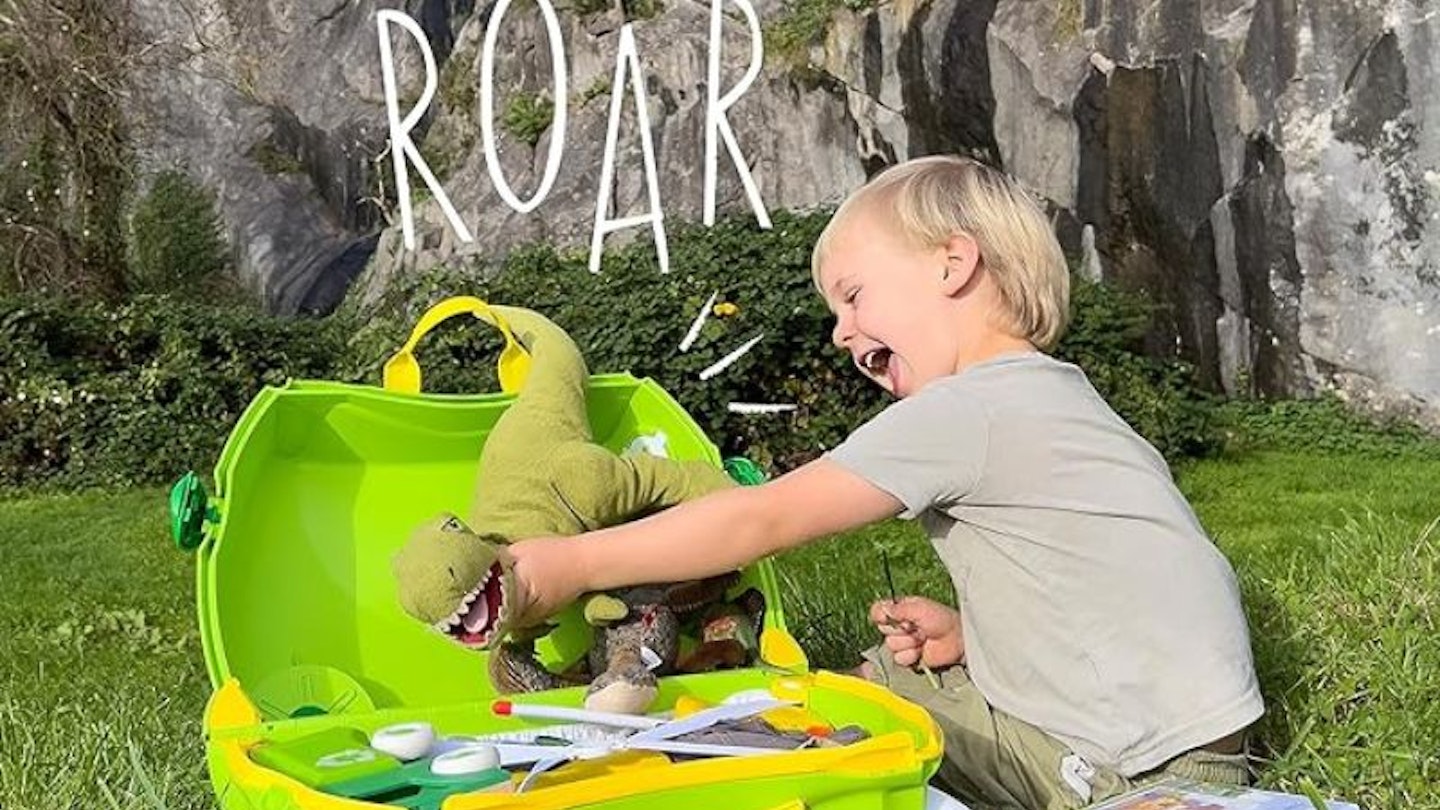 Dudley the Dinosaur Trunki.