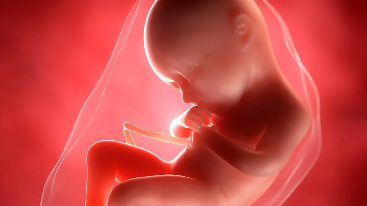 36 weeks pregnant